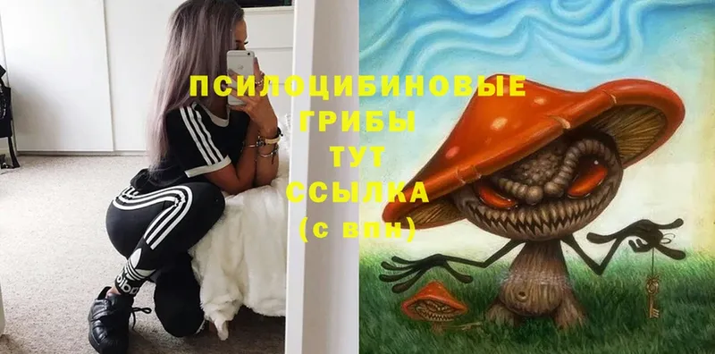 Галлюциногенные грибы Cubensis  Еманжелинск 